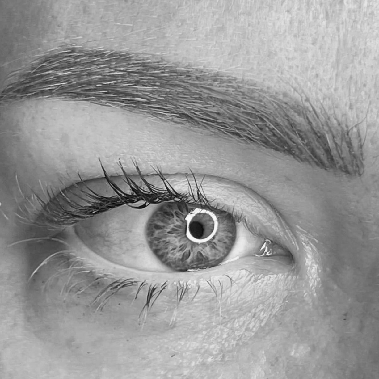 PMU permanente make-up permanent make-up wenkbrauwen brows eyeliner lippen full lips